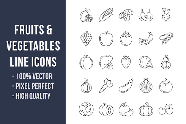 Vector fruits and vegetables line icons