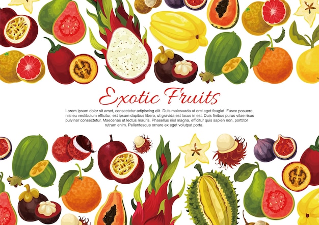 Vettore frutta, verdura e noci