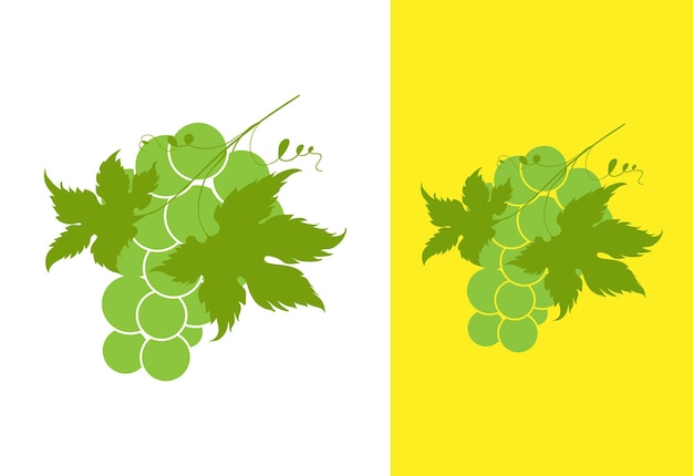 fruits