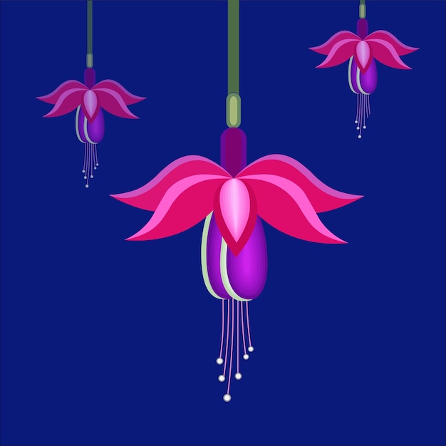 fuchsia