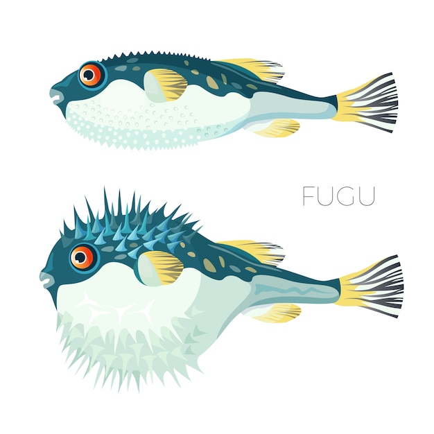 Vector fugu fish japanese puffer