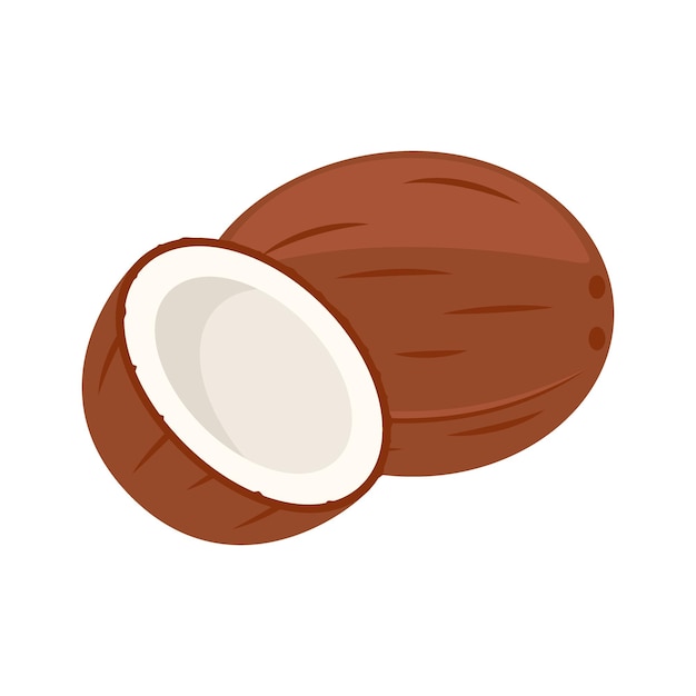 Full coconut and open half nut coco. Delicious and healthy fat food. Vector illustration