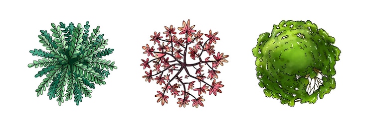 Vector full color architecture tree plan with outline top view set