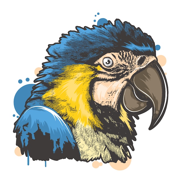 Vector full colour bird