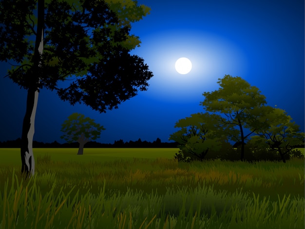 Full moon in forest