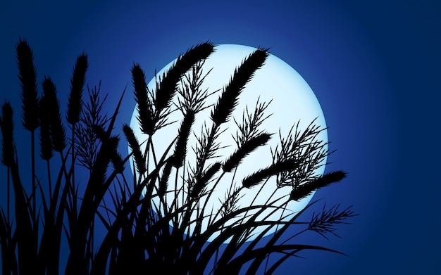 Full moon behind grass