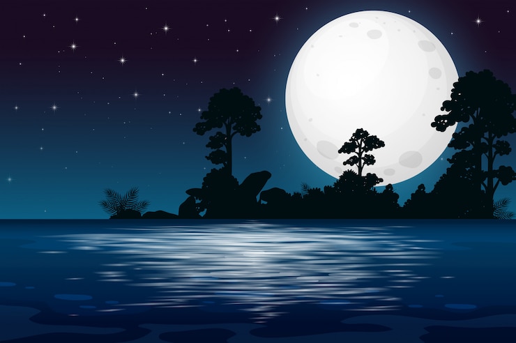 Vector a full moon night at the lake