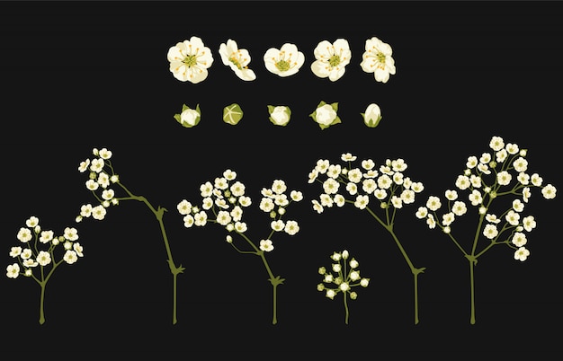 花のクリップアートセットの完全に編集可能なベクトルイラスト。