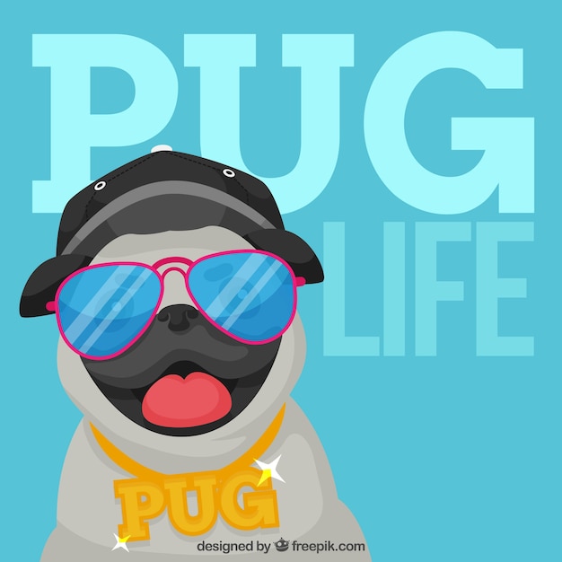 Vector fun pug with urban style