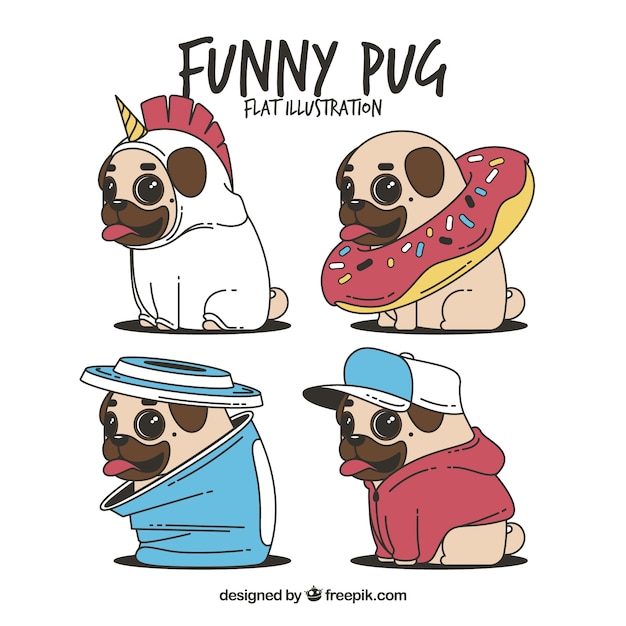 Divertente serie di pugs con costumi