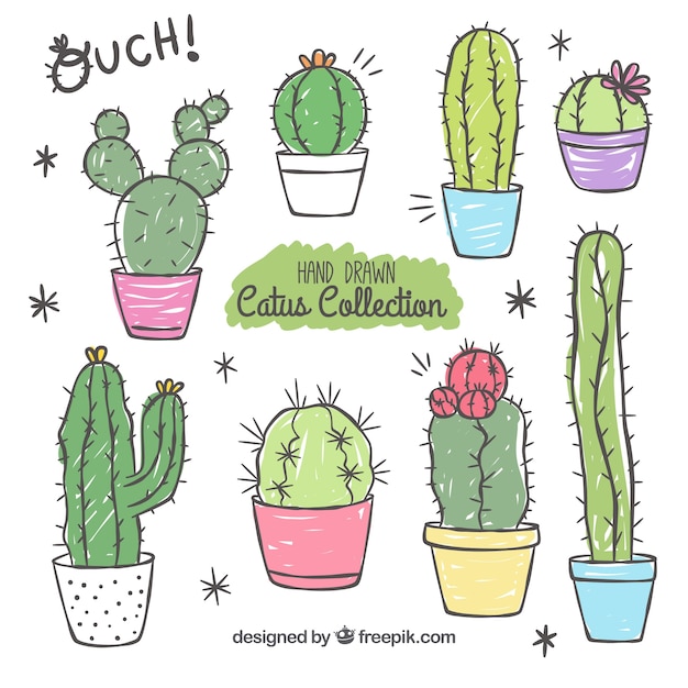 Fun variety of hand drawn cactus