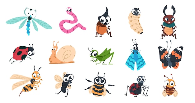 Vector funny bugs illustration