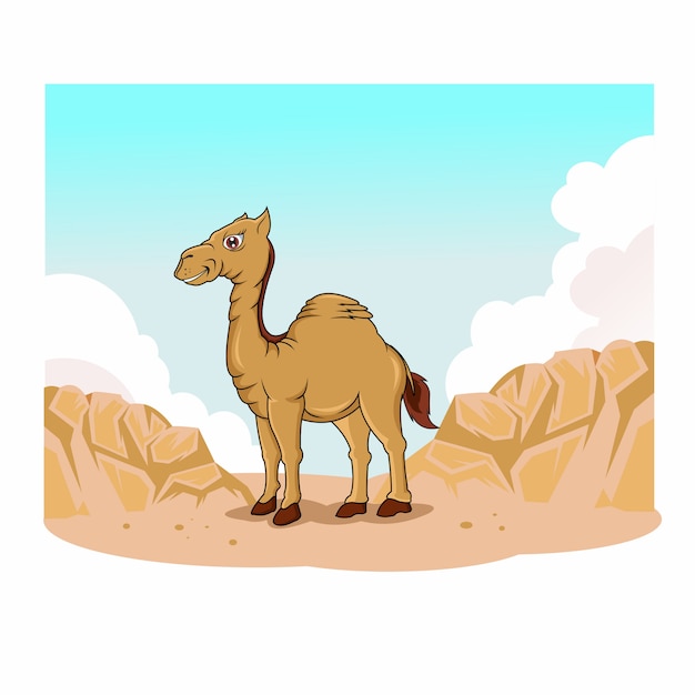 Funny camel in the desert
