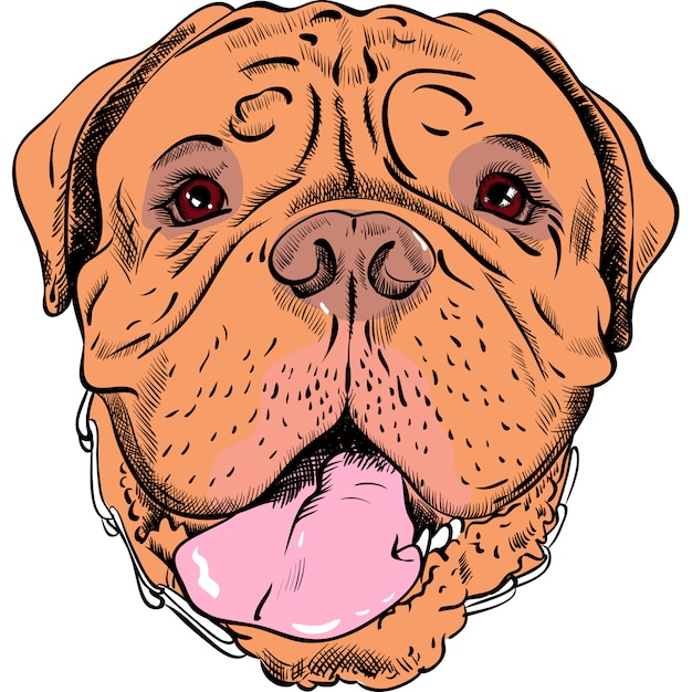 Funny cartoon hipster dog french mastiff