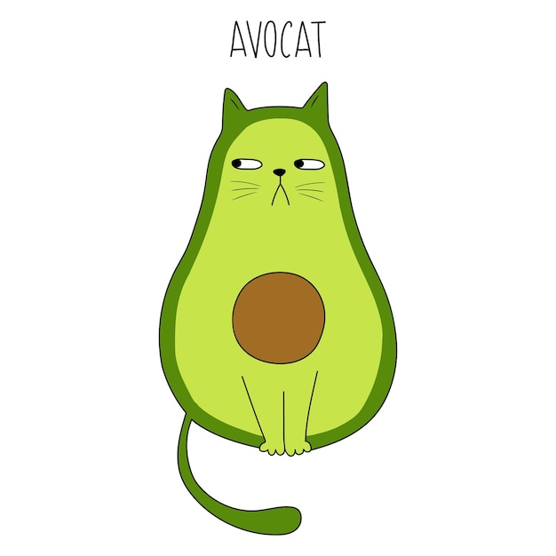 Funny cat avocado avocat vector illustration cartoon avocado