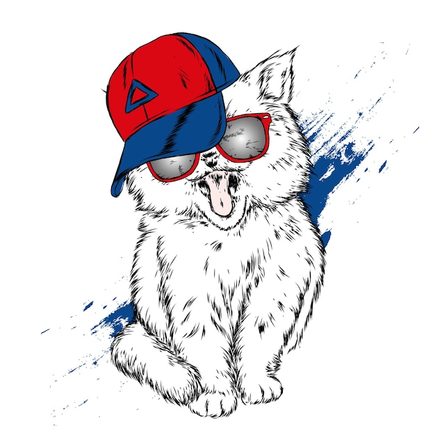 Funny cat in a cap and glasses