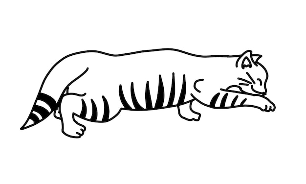 Funny cat in cartoon hand drawn outline doodle style