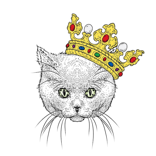 Funny cat in a crown