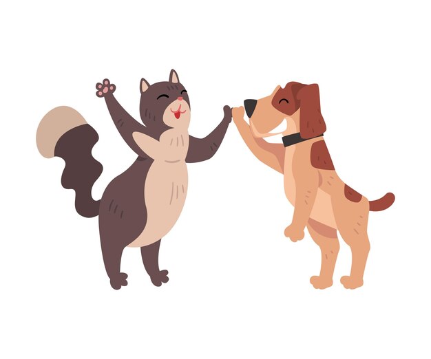 Funny cat and dog together giving high five to each other happy pets animals characters are best