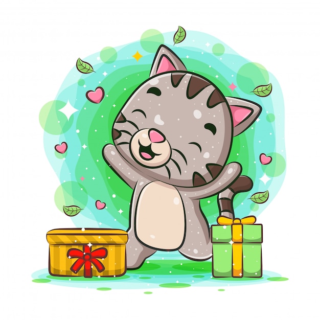 Funny cat get two gift