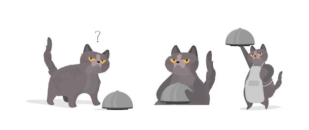 面白い猫はふた付きの金属皿を持っています。変な顔の猫。ステッカー、カード、Tシャツに最適です。孤立。ベクター。