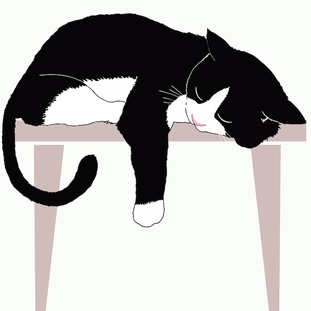 funny cat illustration