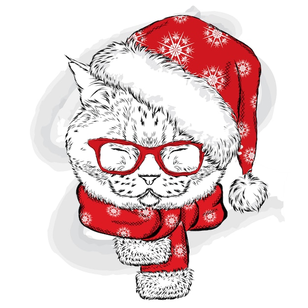 Un gatto divertente in un cappello e una sciarpa lavorati a maglia. illustrazione per una cartolina o un poster, stampa per i vestiti. capodanno e natale, inverno. gattino carino.