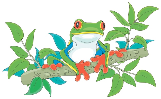 Vector funny colorful and poisonous tree frog sitting on a green branch in a wild tropical jungle