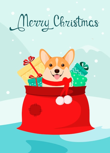 Funny corgi dog in a bag with Christmas gifts. Cartoon style.