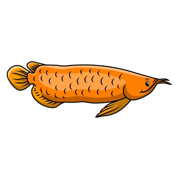 Vector funny cute arowana fish cartoon