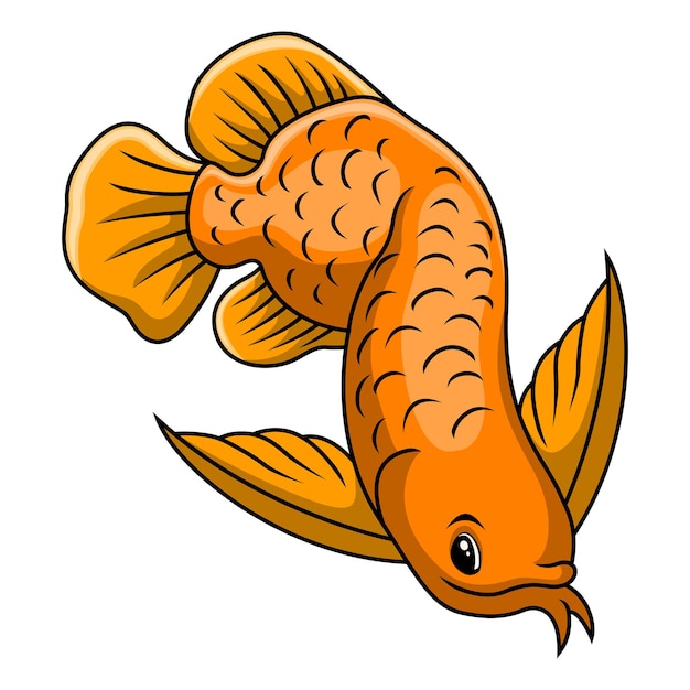 Funny cute arowana fish cartoon