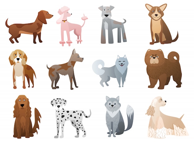 Funny and cute cartoon dogs and puppy pet characters set.