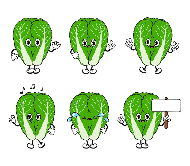 벡터 재미있고 귀여운 배추 캐릭터 묶음 세트