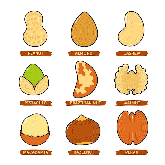 Funny cute happy Nuts characters bundle set
