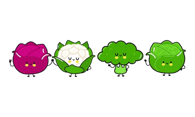 Funny cute happy white cabbage red cabbage broccoli cauliflower characters bundle set