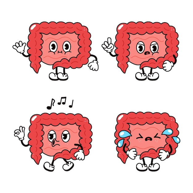 Funny cute intestines character bundle set