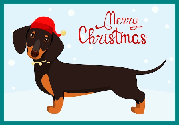 Funny dachshund in a red hat. Christmas card. Cartoon design.