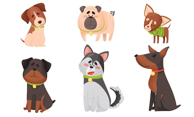Funny Dogs in Sitting and Standing Poses Vector Set