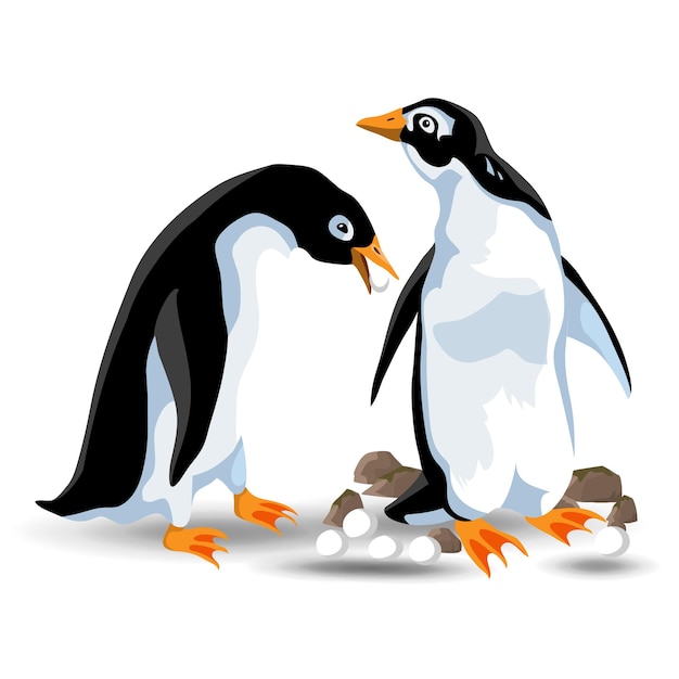 Vector funny family pinguins cartoon mascots isolate couple off penguin animal bird character happy penguin emotions vector illustration