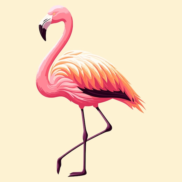 Vettore flamingo divertente in stile vettoriale isolato su bianco