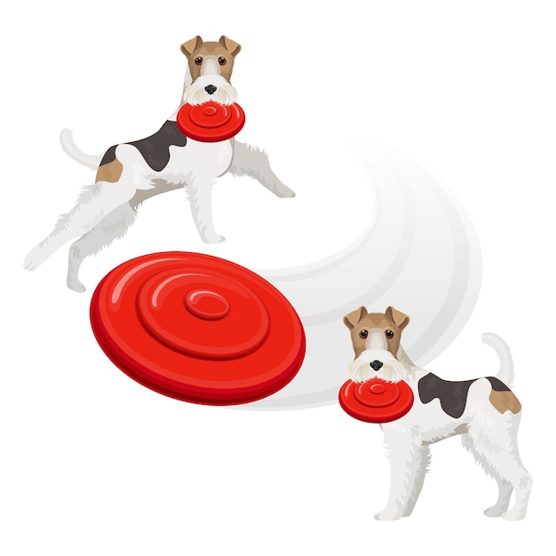 Vettore funny fox terrier cane con frisbee rosso