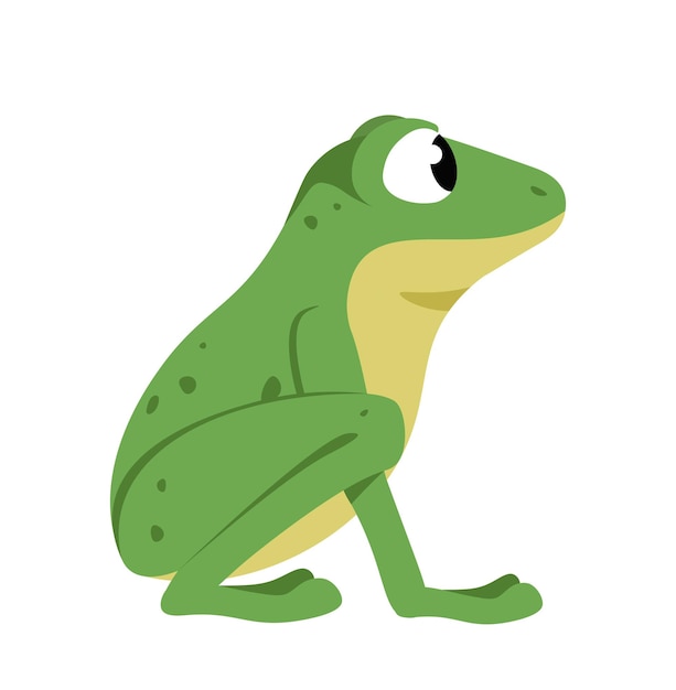 ベクトル 面白いカエルのかわいい水生動物の側面図フラット漫画ベクトルの膨らんだ目で座っているカエル