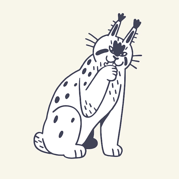 웃긴 털이 많은 린스 새끼 윤 귀여운 숲 동물 친절한 숲 포식자 는 발 Happy big wild cat with tassels outline sketch in childish style 평평한 손으로 그린 고립된 터 일러스트.