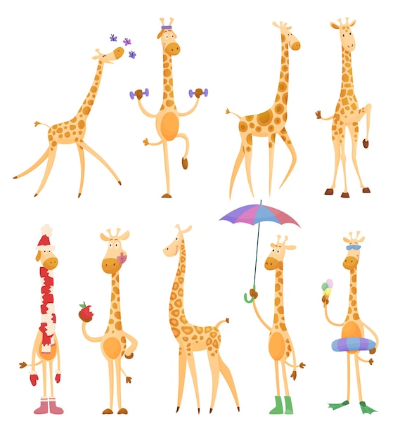 Funny giraffes. Giraffes in a cartoon style, is isolated on white background.