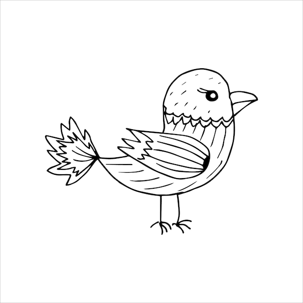 Vector funny hand drawn stylized bird in the doodle style coloring page invitation postcard