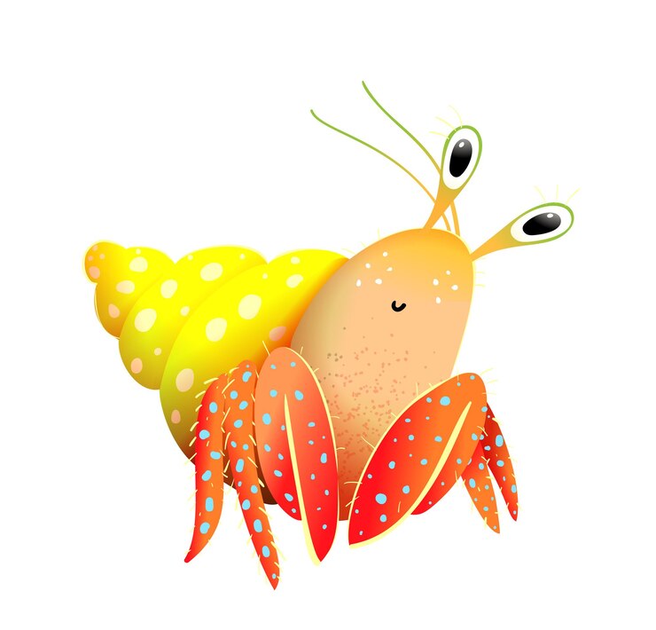 Vector funny hermit crab hand drawn illustration for kids