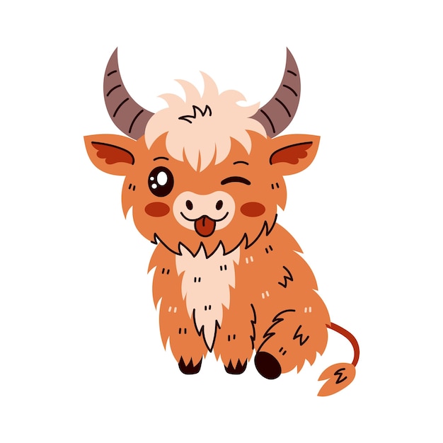 Funny Highland Cattle Cow