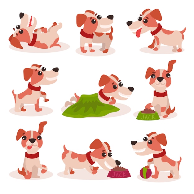 Vector funny jack russell terrier characters set, cute dog in different poses and situations   illustrations