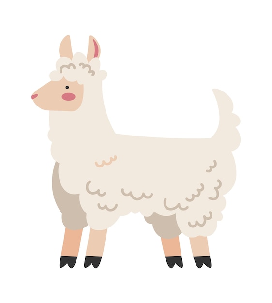 Funny Llama Alpaca icon Vector illustration