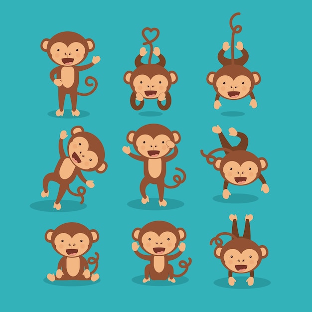 funny monkey  design